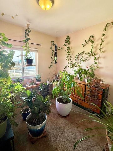 1036 S Los Charros Dr, Pueblo West, CO 81007