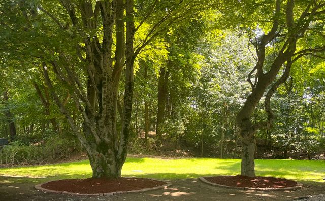 5 Carbrey Avenue, Sharon, MA 02067