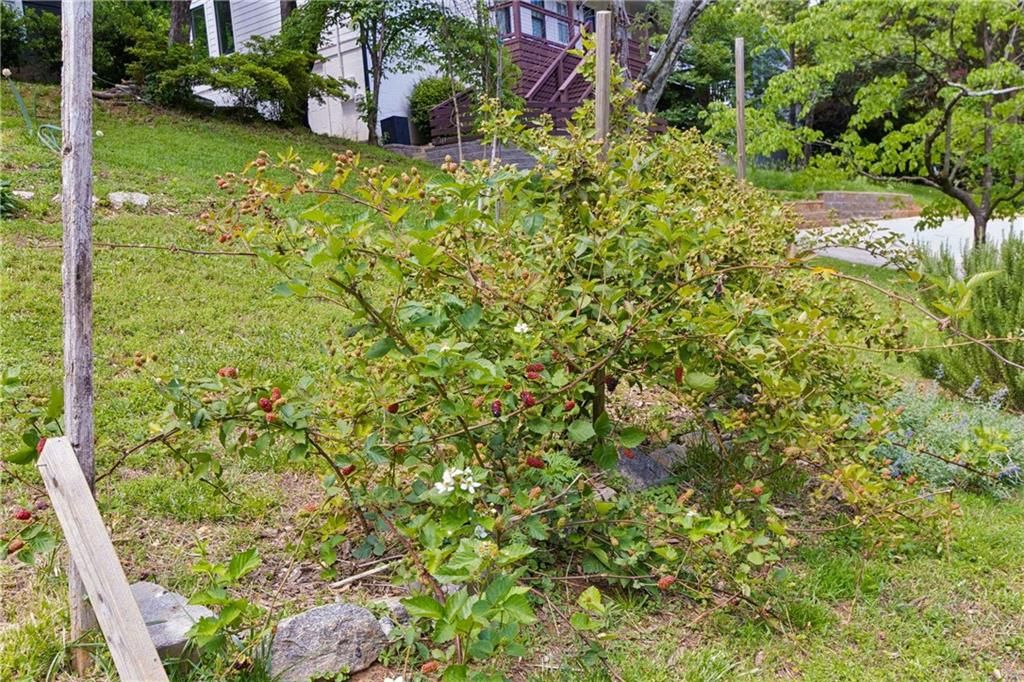 Image 50 of property listing at 1992 Shalimar Drive NE, Atlanta, GA 30345
