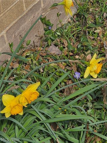 5933 Decker Road, North Olmsted, OH 44070