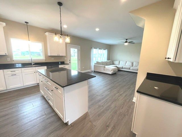 24509 S Saint Paul Avenue, Channahon, IL 60410