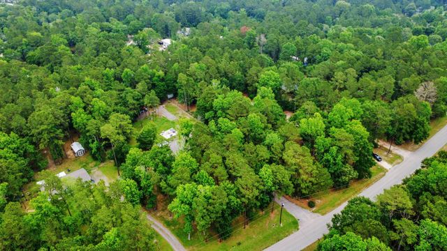 24698 Country Oaks Boulevard, Montgomery, TX 77316