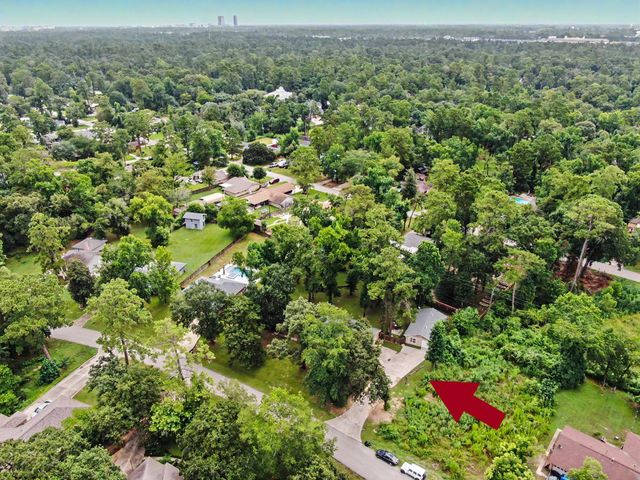 24414 Pine Canyon Drive, Spring, TX 77380