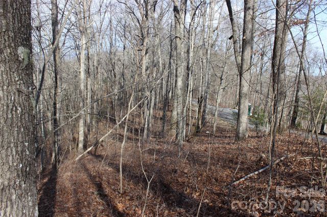 Lot 84 Waterdance Drive, Tuckasegee, NC 28783
