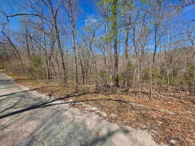L-14 B-11 Oklahoma Circle, Cherokee Village, AR 72529