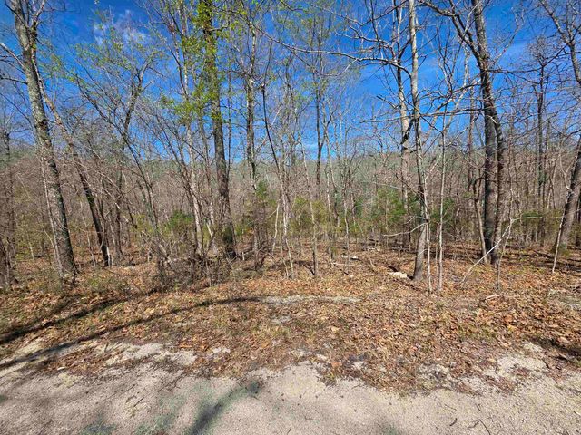 L-14 B-11 Oklahoma Circle, Cherokee Village, AR 72529