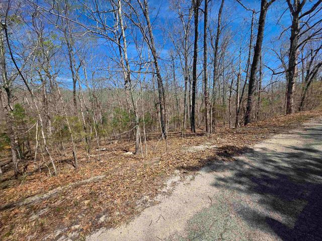L-14 B-11 Oklahoma Circle, Cherokee Village, AR 72529
