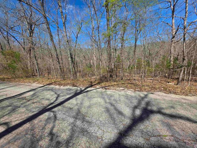 L-14 B-11 Oklahoma Circle, Cherokee Village, AR 72529