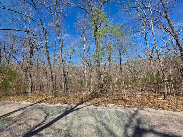 L-14 B-11 Oklahoma Circle, Cherokee Village, AR 72529