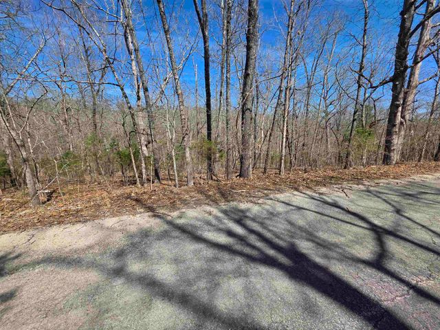 L-14 B-11 Oklahoma Circle, Cherokee Village, AR 72529