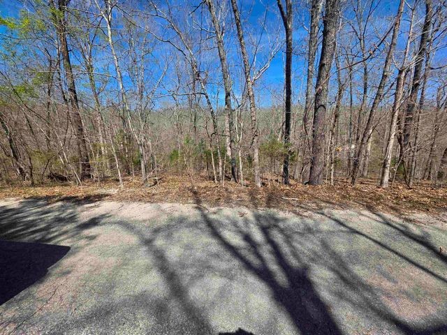 L-14 B-11 Oklahoma Circle, Cherokee Village, AR 72529