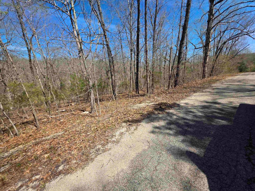 L-14 B-11 Oklahoma Circle, Cherokee Village, AR 72529