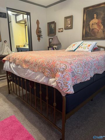 1370 Butter And Egg Road, Hazel Green, AL 35750