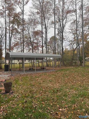 1370 Butter And Egg Road, Hazel Green, AL 35750