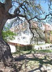 3115 Helms ST 313, Austin, TX 78705
