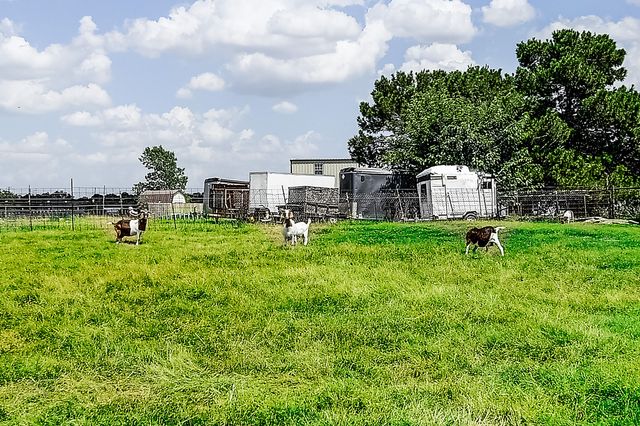 365 Country Lane, Haslet, TX 76052