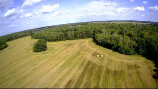 TBD Butternut Road, Brainerd, MN 56401