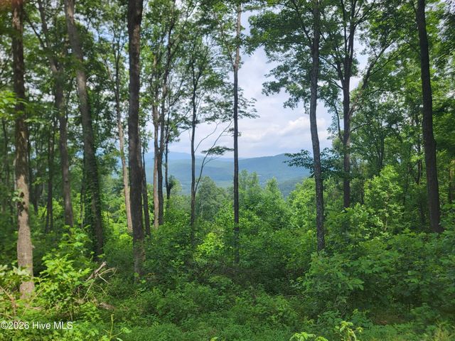 Lot 81 Scenic Mountain Way, Murphy, NC 28906