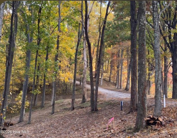 Lot 81 Scenic Mountain Way, Murphy, NC 28906