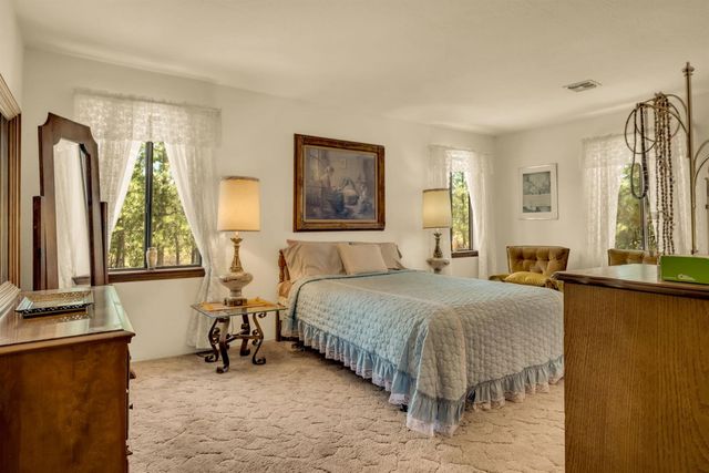 12336 Scott Rd, Sheep Ranch, CA 95246