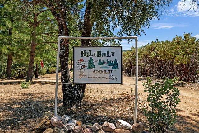 12336 Scott Rd, Sheep Ranch, CA 95246