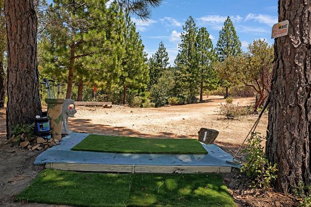 12336 Scott Rd, Sheep Ranch, CA 95246