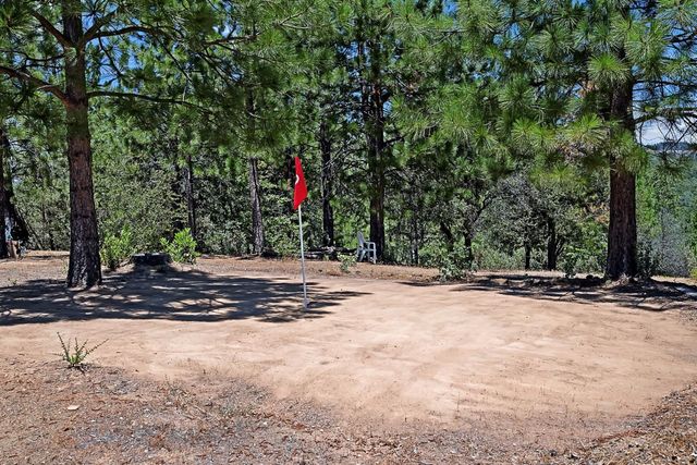 12336 Scott Rd, Sheep Ranch, CA 95246