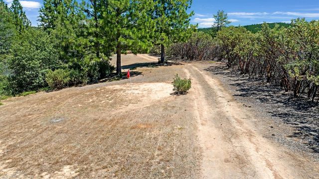 12336 Scott Rd, Sheep Ranch, CA 95246