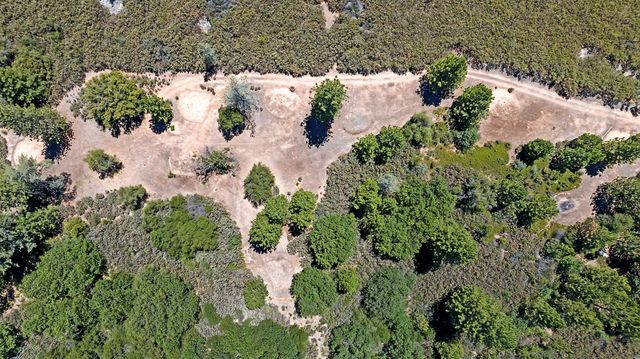 12336 Scott Rd, Sheep Ranch, CA 95246