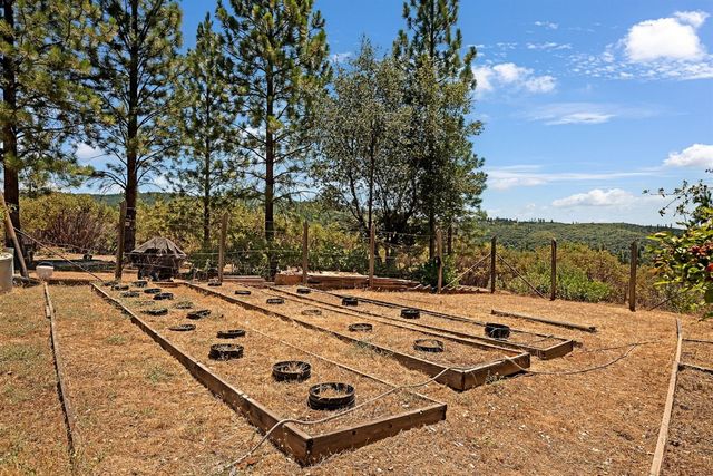 12336 Scott Rd, Sheep Ranch, CA 95246
