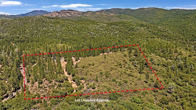 12336 Scott Rd, Sheep Ranch, CA 95246