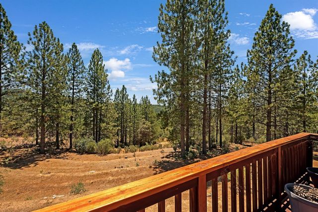 12336 Scott Rd, Sheep Ranch, CA 95246
