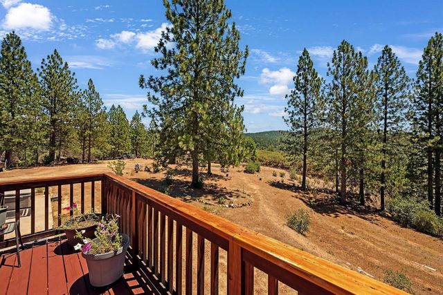 12336 Scott Rd, Sheep Ranch, CA 95246