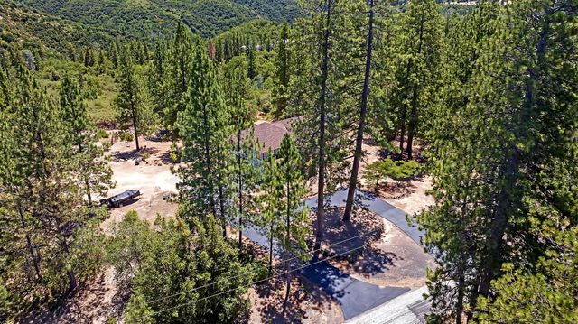 12336 Scott Rd, Sheep Ranch, CA 95246