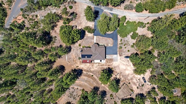 12336 Scott Rd, Sheep Ranch, CA 95246