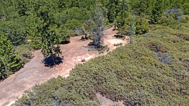 12336 Scott Rd, Sheep Ranch, CA 95246