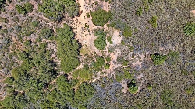 12336 Scott Rd, Sheep Ranch, CA 95246