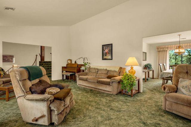 12336 Scott Rd, Sheep Ranch, CA 95246