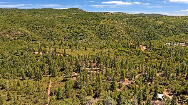 12336 Scott Rd, Sheep Ranch, CA 95246