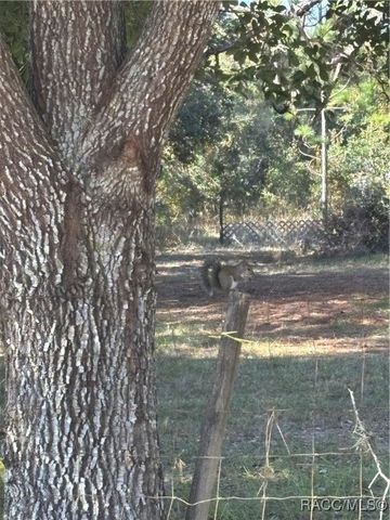 7120 S Sesame Street Terrace, Homosassa, FL 34446