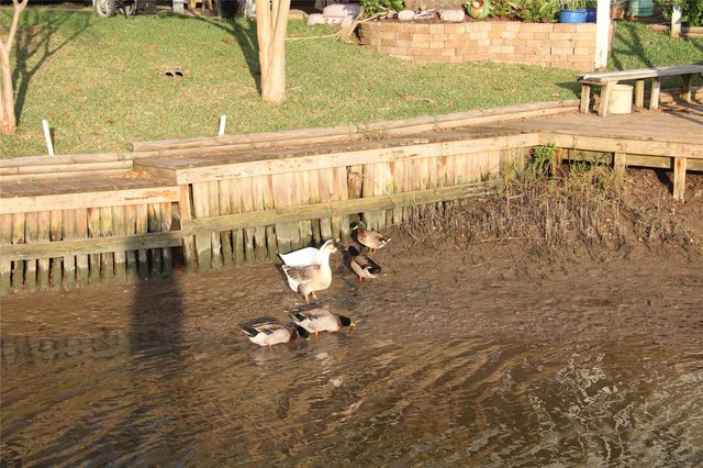 5202 County Road 469, Brazoria, TX 77422