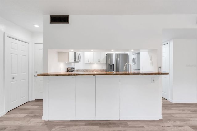 1051 S HIGHLAND STREET 4B, Mount Dora, FL 32757