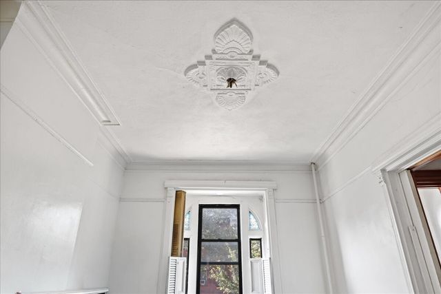 638 HALSEY Street, New York City, NY 11233