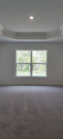 16295 POMP PARKWAY, Weeki Wachee, FL 34614