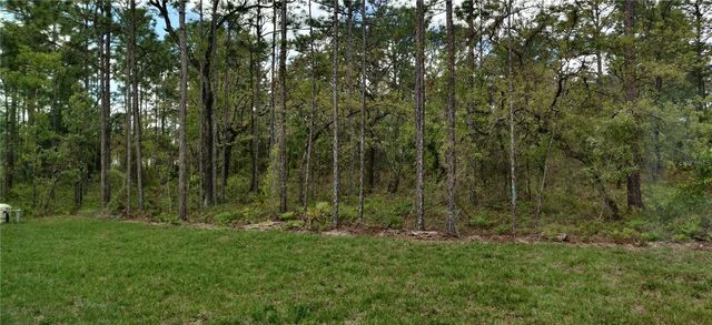 16295 POMP PARKWAY, Weeki Wachee, FL 34614