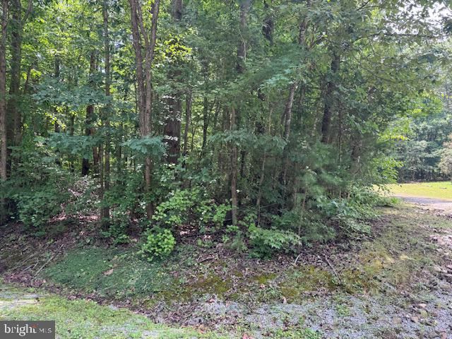 S BLUEWATER BLVD, Mineral, VA 23117