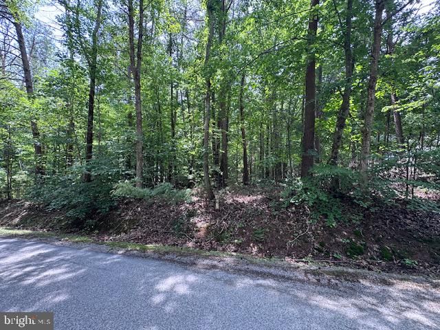 S BLUEWATER BLVD, Mineral, VA 23117