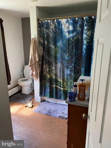 10400 ENFIELD RD, Felton, PA 17322