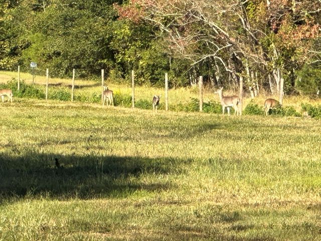 313 Roy Road, Wallisville, TX 77597