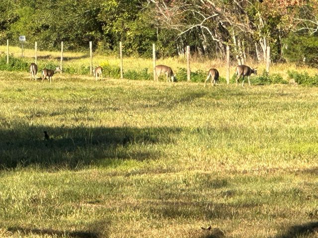 313 Roy Road, Wallisville, TX 77597